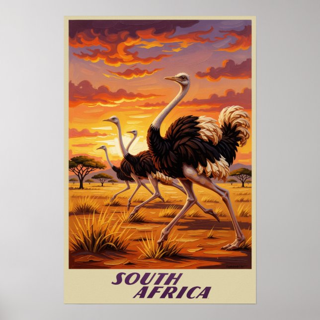 Póster Cartel de Sudáfrica (Frente)