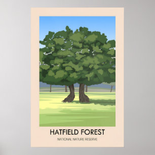 Póster Cartel de viaje al bosque de Hatfield