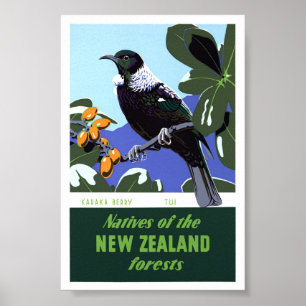 Póster Cartel de viaje antiguo de Nueva Zelanda restaurad