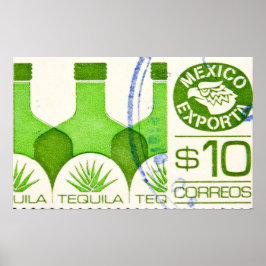Póster Cartel de viaje de Tequila Cactus en México