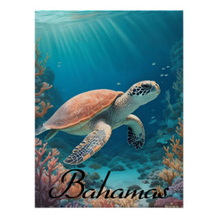 Póster Cartel de viaje de tortuga marina de Bahamas