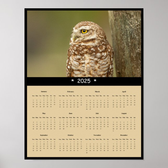 Póster Cartel del calendario de pared del búho de madrigu (Frente)