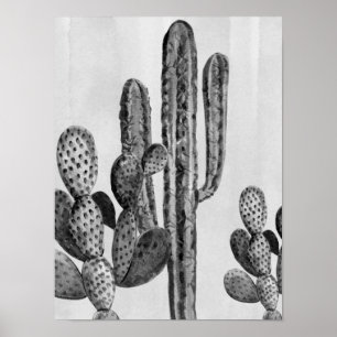 Póster Cartel del suroeste de cactus en blanco y negro a 