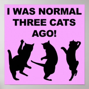 Póster Cartel divertido de tres gatos normales atrás