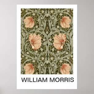 Póster Cartel - Estampa floral de melocotón de William Mo
