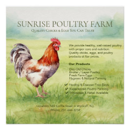 Póster Cartel Glosado de Granja de Pollos