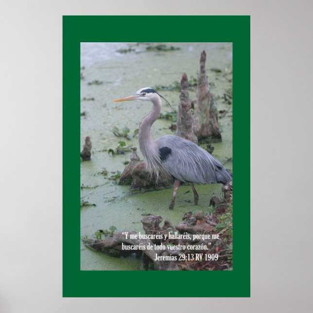 Póster Cartel Jeremias 29:13 (Frente)