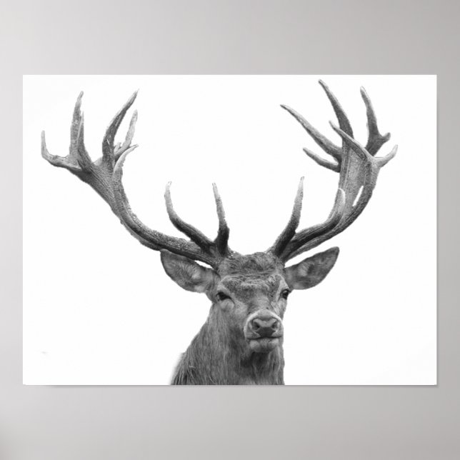 Póster Cartel moderno de estilo cabaña ciervo negro blanc (Frente)