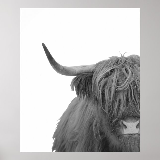 Póster Cartel negro blanco rústico de vaca de las Highlan (Frente)