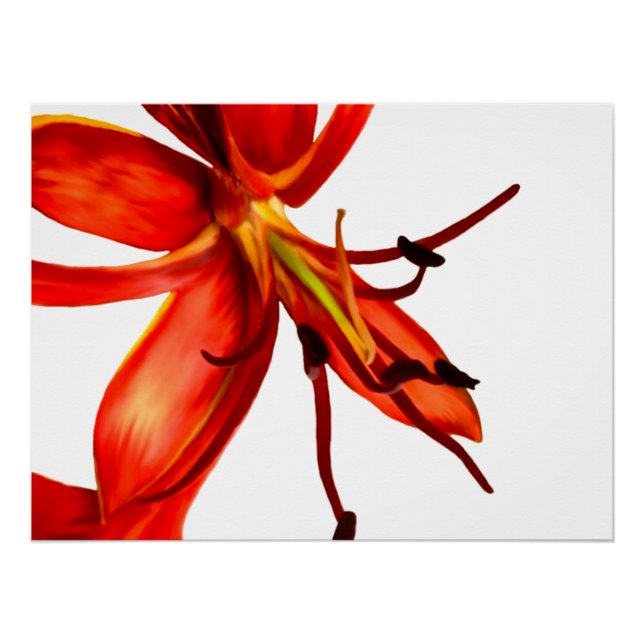 Póster Cartel Poinciana Real (Anverso)