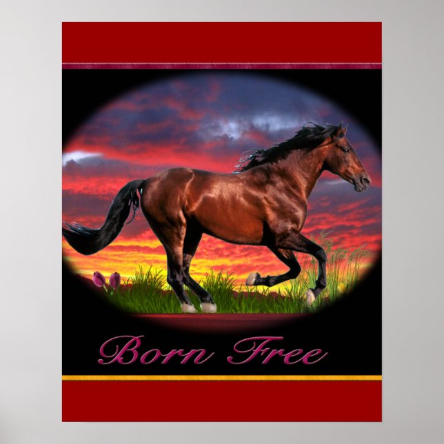 Póster Carteles de caballo nacido libre (Frente)