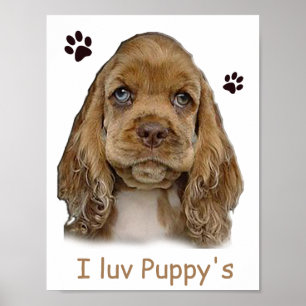 Póster Carter spaniel cachorro cartel