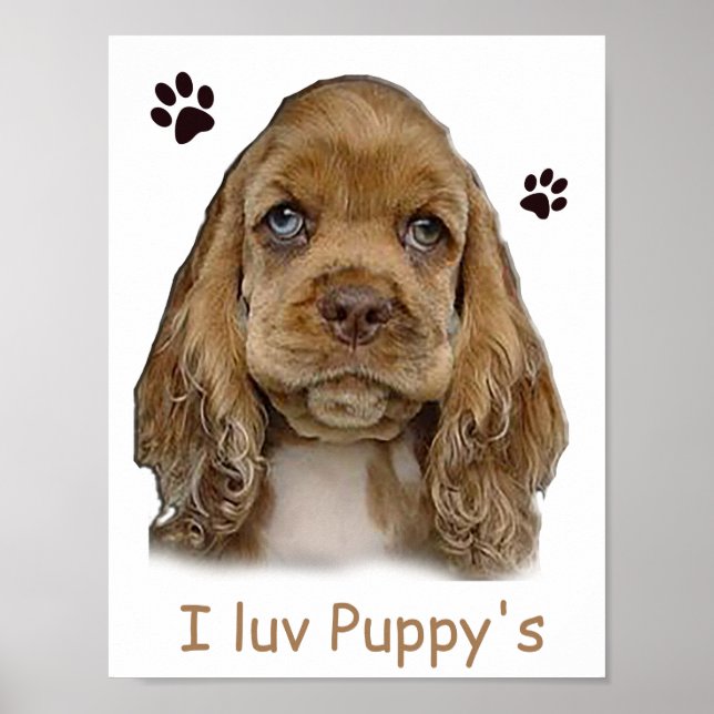 Póster Carter spaniel cachorro  cartel (Frente)