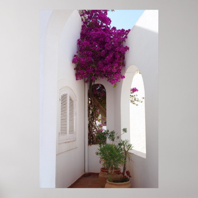 Póster casa (Frente)