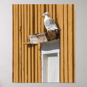 Póster Casa amarilla de la gaviota
