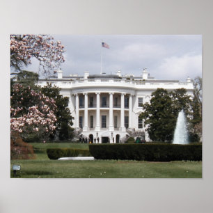 Póster Casa Blanca