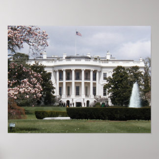 Póster Casa Blanca