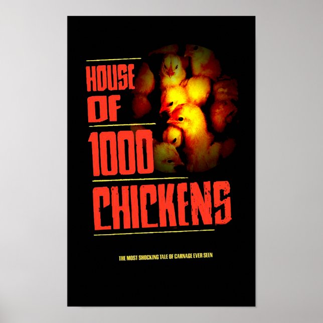 PÓSTER CASA DE 1000 CHICKENS (Frente)