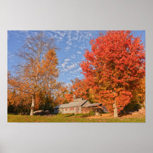 Póster Casa de Azúcar de Vermont