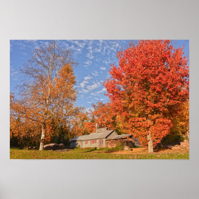 Póster Casa de Azúcar de Vermont (Frente)
