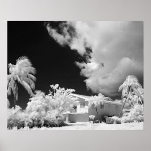 Póster Casa de los Cayos de Florida y sus palmeras, Estad