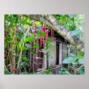 Póster Casa de planta baja de Elvis Presley