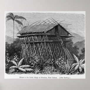 Póster Casa en la aldea arfak de Memiwa, Nueva Guinea