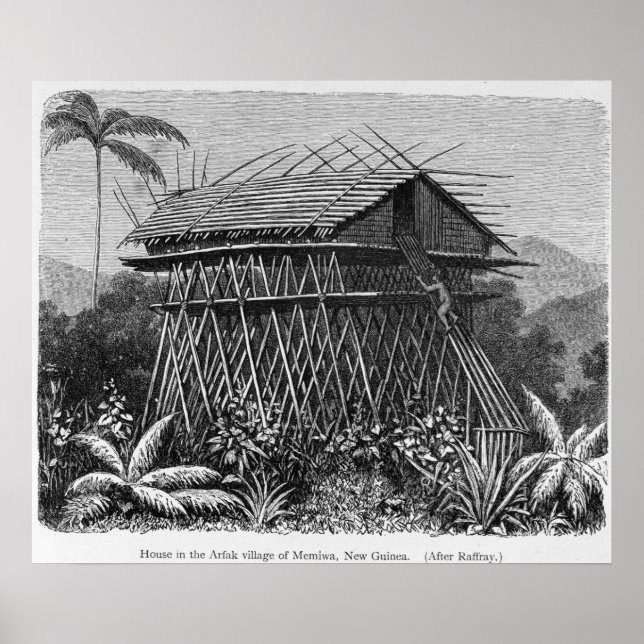 Póster Casa en la aldea arfak de Memiwa, Nueva Guinea (Frente)