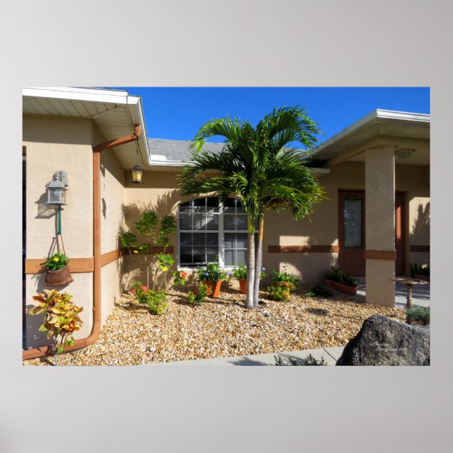 Póster Casa tropical Plumbago Hibiscus Poster de flores (Frente)