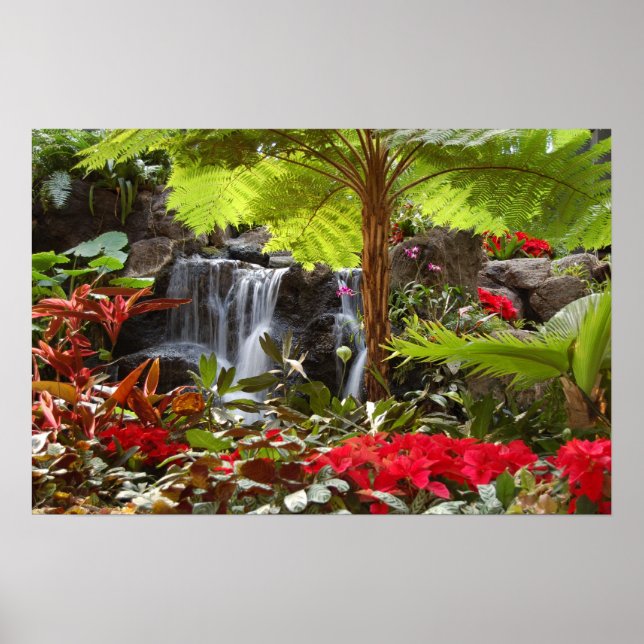 Póster Cascada (Frente)