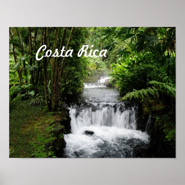 Póster Cascada (Frente)