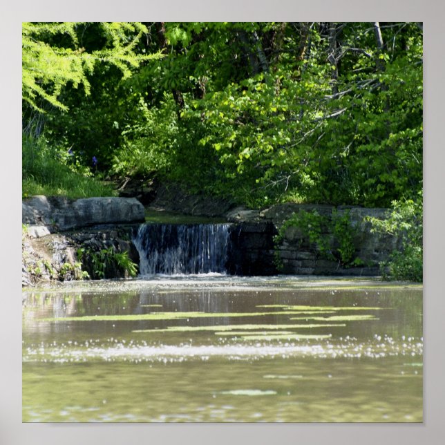 Póster cascada (Frente)