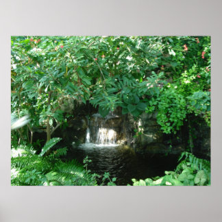 Póster cascada
