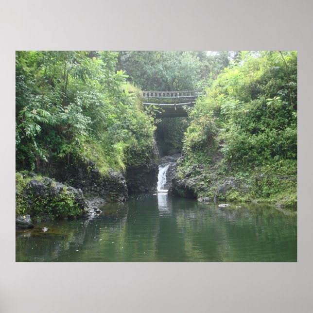 Póster Cascada bajo puente (Frente)