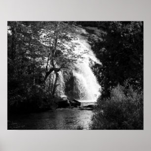 Póster Cascada blanca y negra por los árboles 16x20