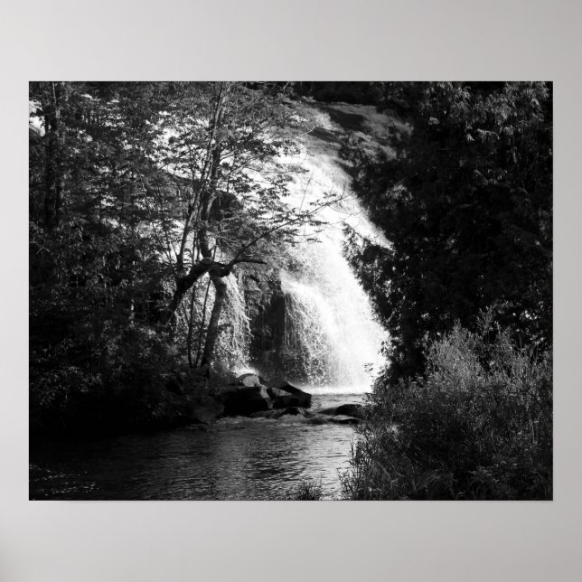 Póster Cascada blanca y negra por los árboles 16x20 (Frente)