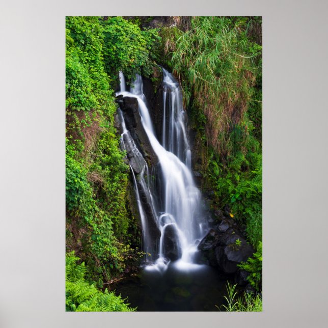 Póster Cascada, costa de Hamakua, Hawái (Frente)