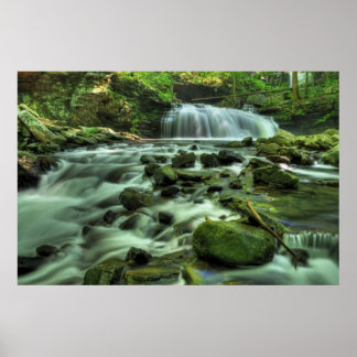 Póster Cascada de Cloudland Canyon