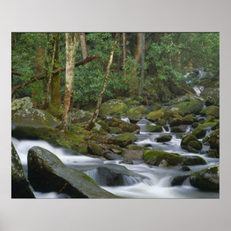 Póster Cascada de Cosby