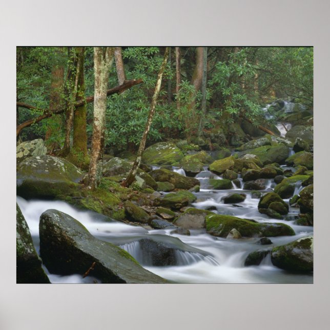 Póster Cascada de Cosby (Frente)