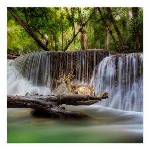 Póster Cascada de Erawan con relajación de ciervos