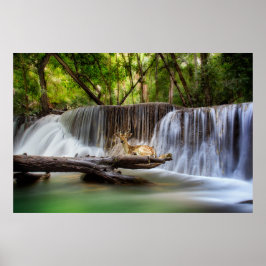 Póster Cascada de Erawan con relajación de ciervos
