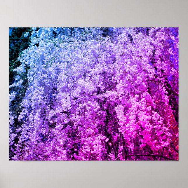 Póster Cascada De Flores De Primavera Tintadas (Frente)