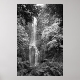 Póster Cascada de Hana