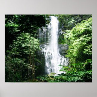Póster Cascada de Hawái