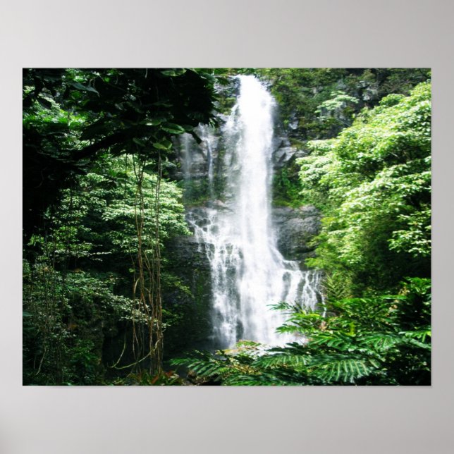 Póster Cascada de Hawái (Frente)