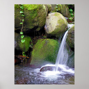 Póster Cascada de Hawái