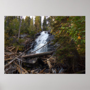 Póster Cascada de helechos en el Parque Nacional Montañas