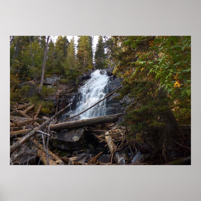 Póster Cascada de helechos en el Parque Nacional Montañas (Frente)