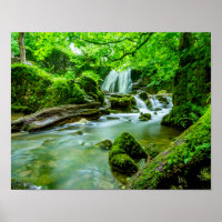 cascada de lago
